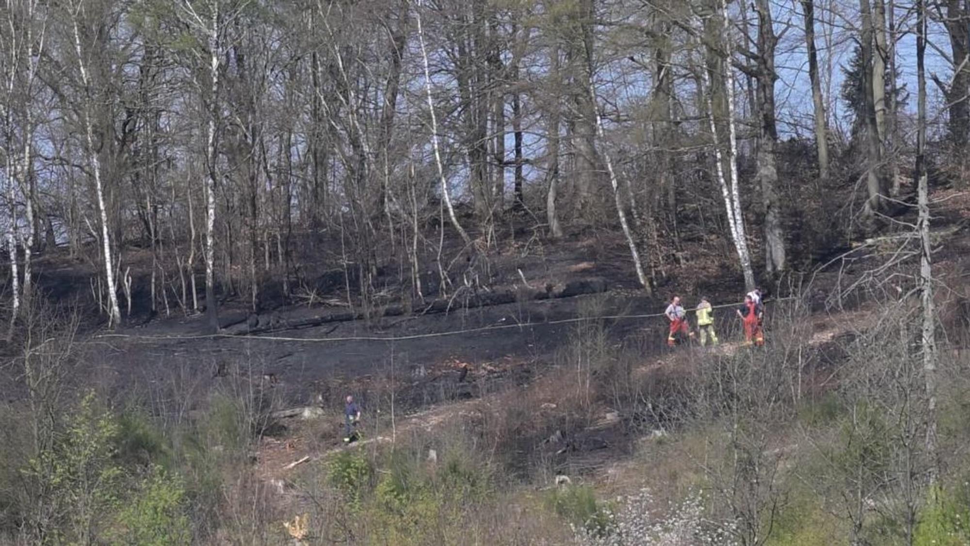 Feuerwehrleute stehen auf verkohltem Waldboden.