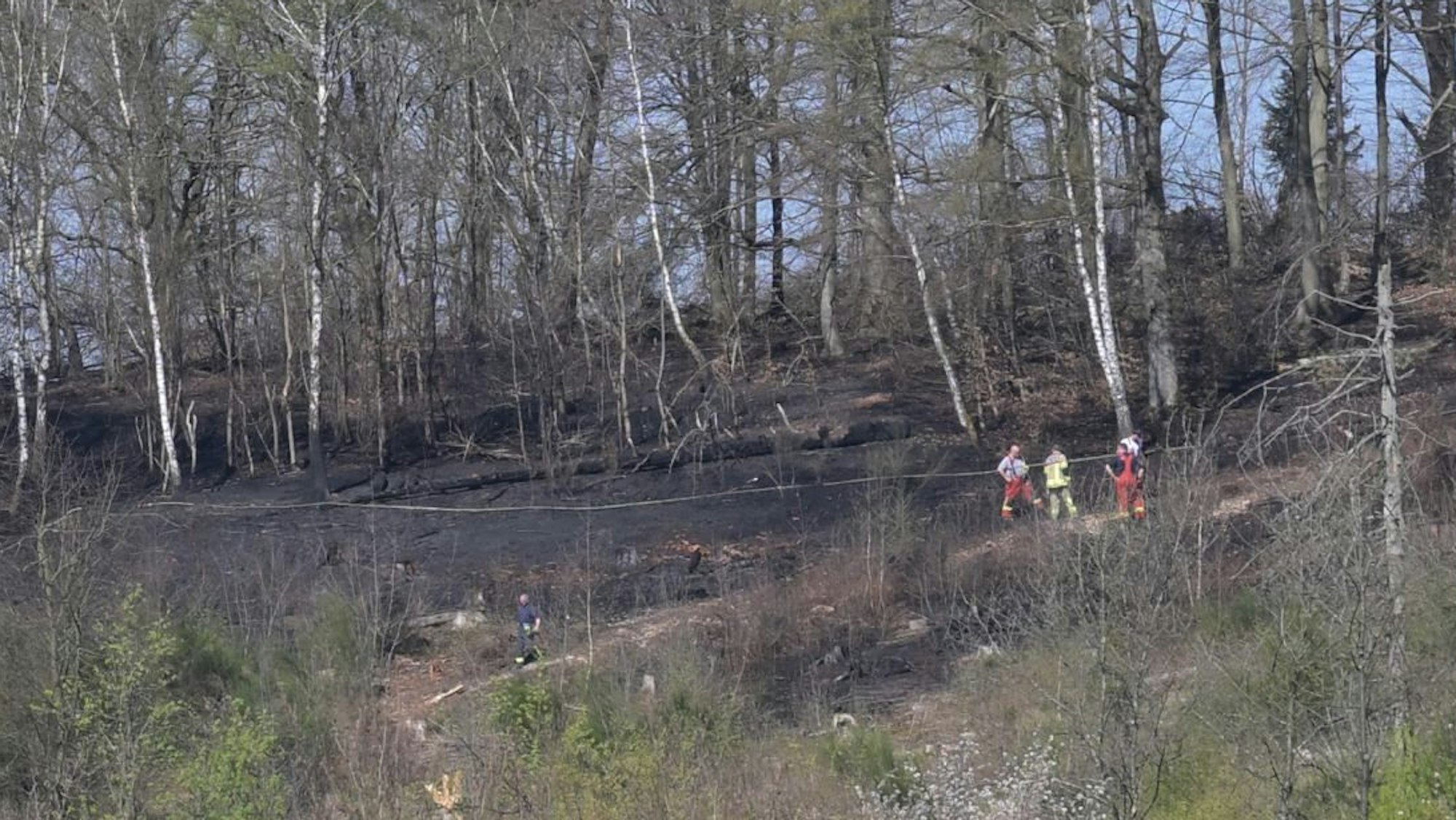 Feuerwehrleute stehen auf verkohltem Waldboden.