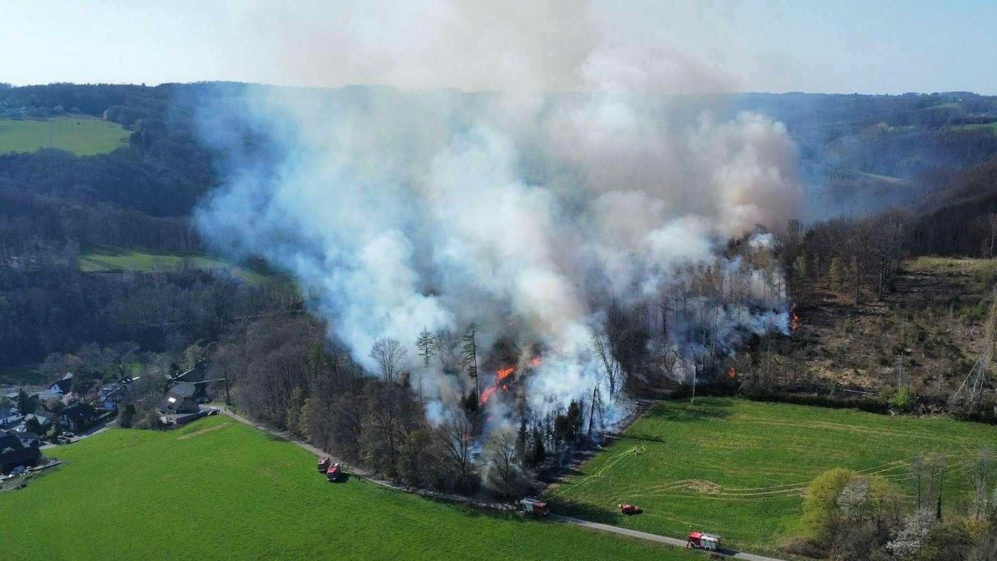 Rauch steigt zwischen Bäumen auf.
