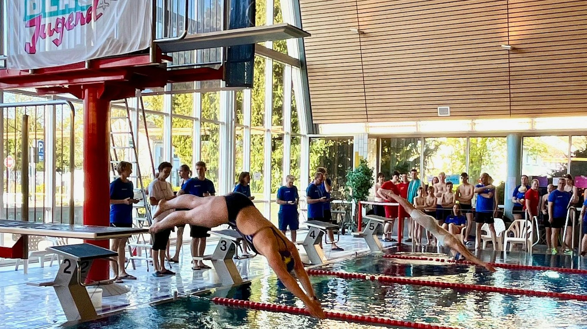 Zu sehen sind Schwimmer, die ins Wasser eines Hallenbades springen.