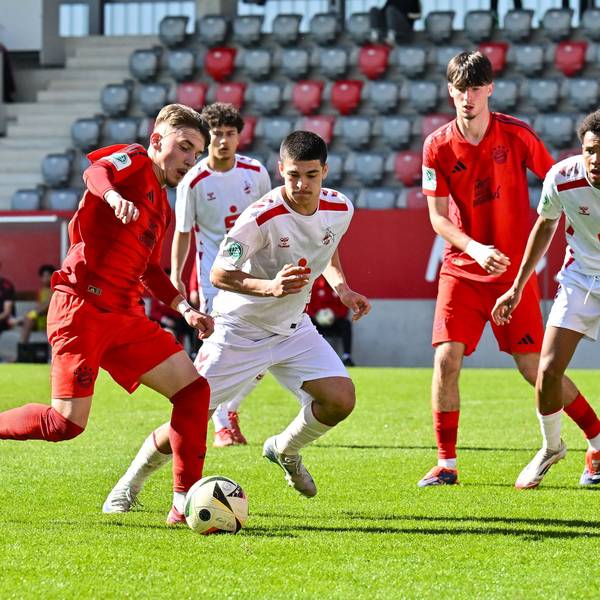 DFB U19-Nachwuchsliga Hauptrunde: FC Bayern München U19 - 1. FC Köln U19 09.03.2025 im Duell Lennart KARL FCB 7 und San-Luca SPITALI 1. FC Koeln U19 3 / Zweikampf / A-Junioren Bundesliga: FC Bayern Muenchen U19 - 1. FC Koeln U19, FC Bayern Campus am 09.03.2025 *** DFB U19 Junior League main round FC Bayern München U19 1 FC Köln U19 09 03 2025 in duel Lennart KARL FCB 7 and San Luca SPITALI 1 FC Koeln U19 3 duel A Junior Bundesliga FC Bayern Muenchen U19 1 FC Koeln U19, FC Bayern Campus on 09 03 2025 Copyright: xBEAUTIFULxSPORTS/Goldbergx
