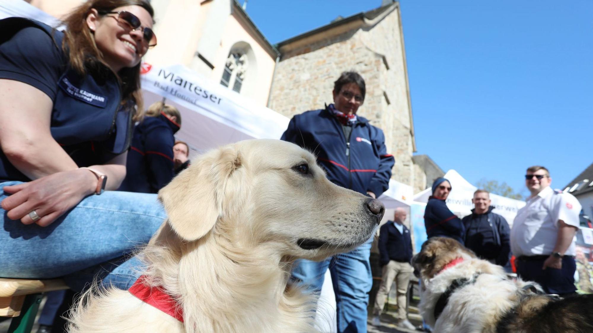 Mitglieder des Malteser-Hilfsdienstes mit zwei Hunden.