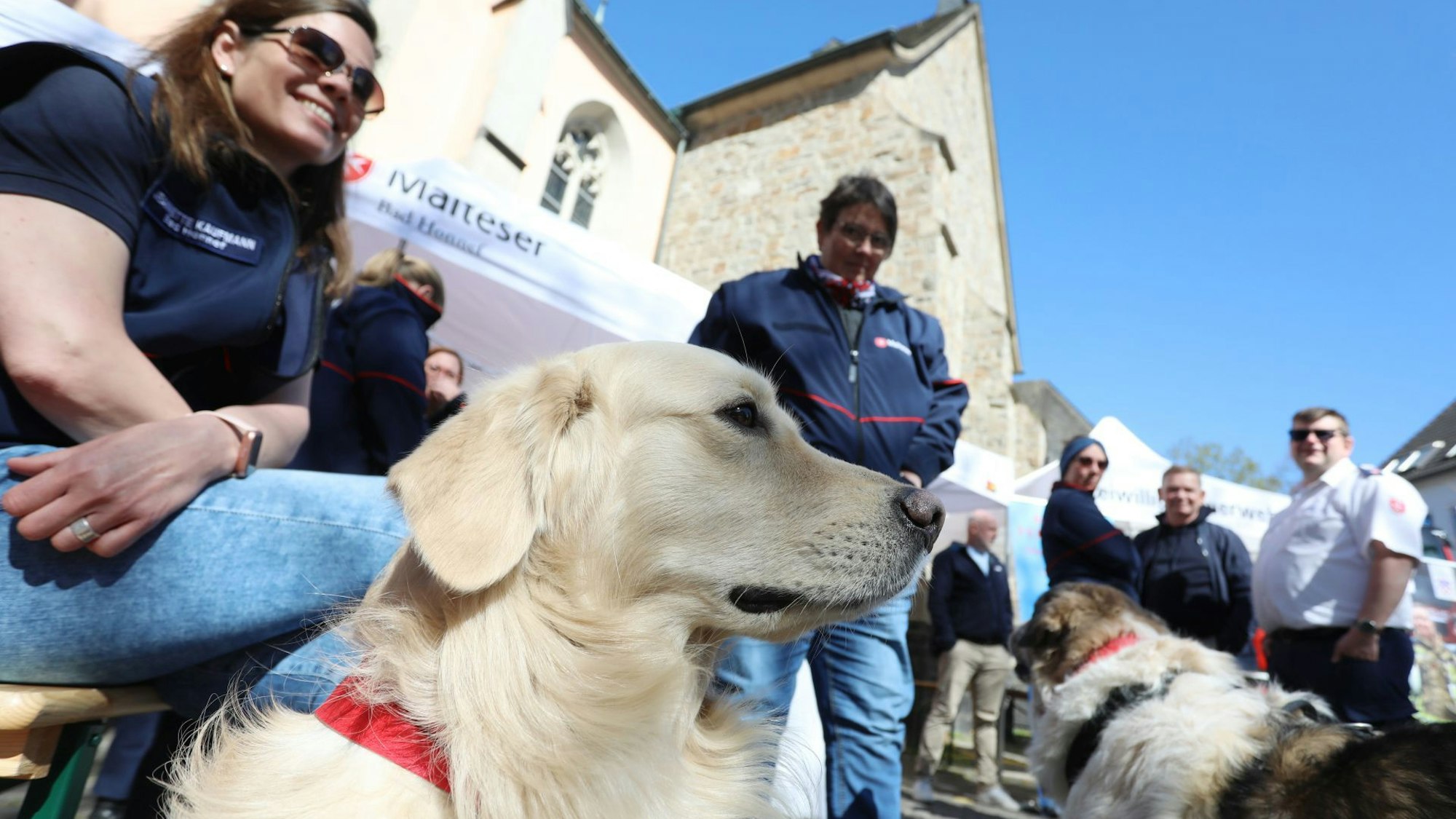 Mitglieder des Malteser-Hilfsdienstes mit zwei Hunden.