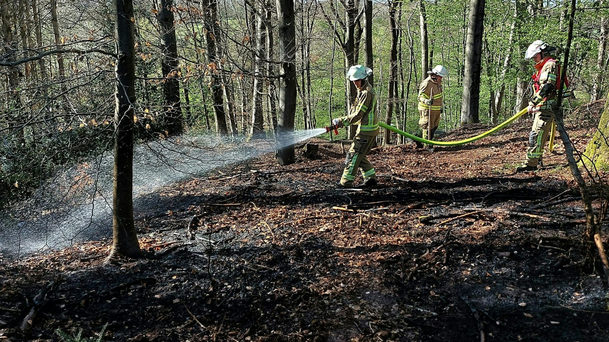 Einsatzkräfte der Feuerwehr löschen Glutnester nach einem Brand im Unterholz.
