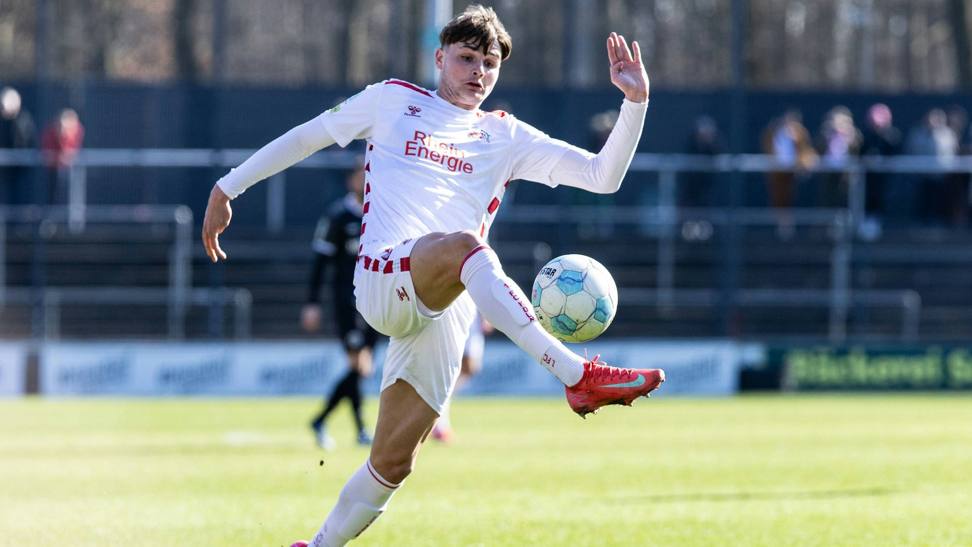 Regionalliga West: 1.FC Köln U21, U 21 - SV Rödinghausen 02.03.2025 Jaka Cuber-Potocnik 1.FC Köln U21, 9 Regionalliga West: 1.FC Köln U21 - SV Rödinghausen Geißbockheim, Franz-Kremer-Stadion, Köln 02.03.2025 *** Regionalliga West 1 FC Köln U21 SV Rödinghausen 02 03 2025 Jaka Cuber Potocnik 1 FC Köln U21, 9 Regionalliga West 1 FC Köln U21 SV Rödinghausen Geißbockheim, Franz Kremer Stadion, Cologne 02 03 2025 Copyright: xBEAUTIFULxSPORTS/Buriakovx
