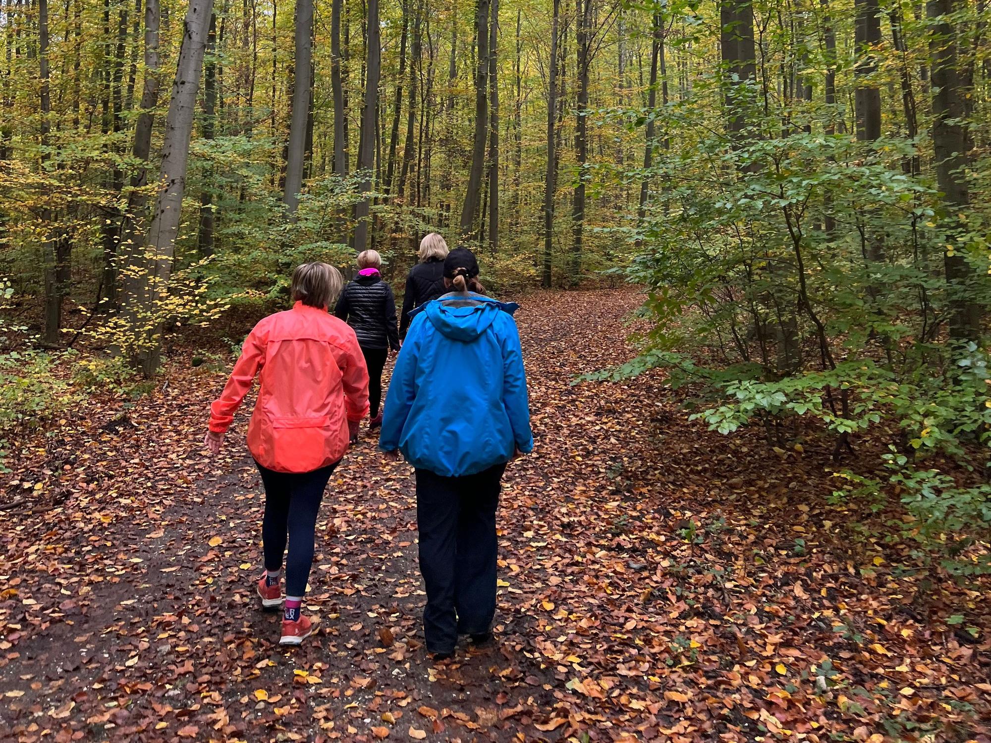 Frauen gehen durch den Wald.
