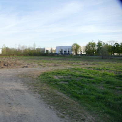 Eine Wiese, im Hintergrund stehen Bäume und einige Industriehallen.