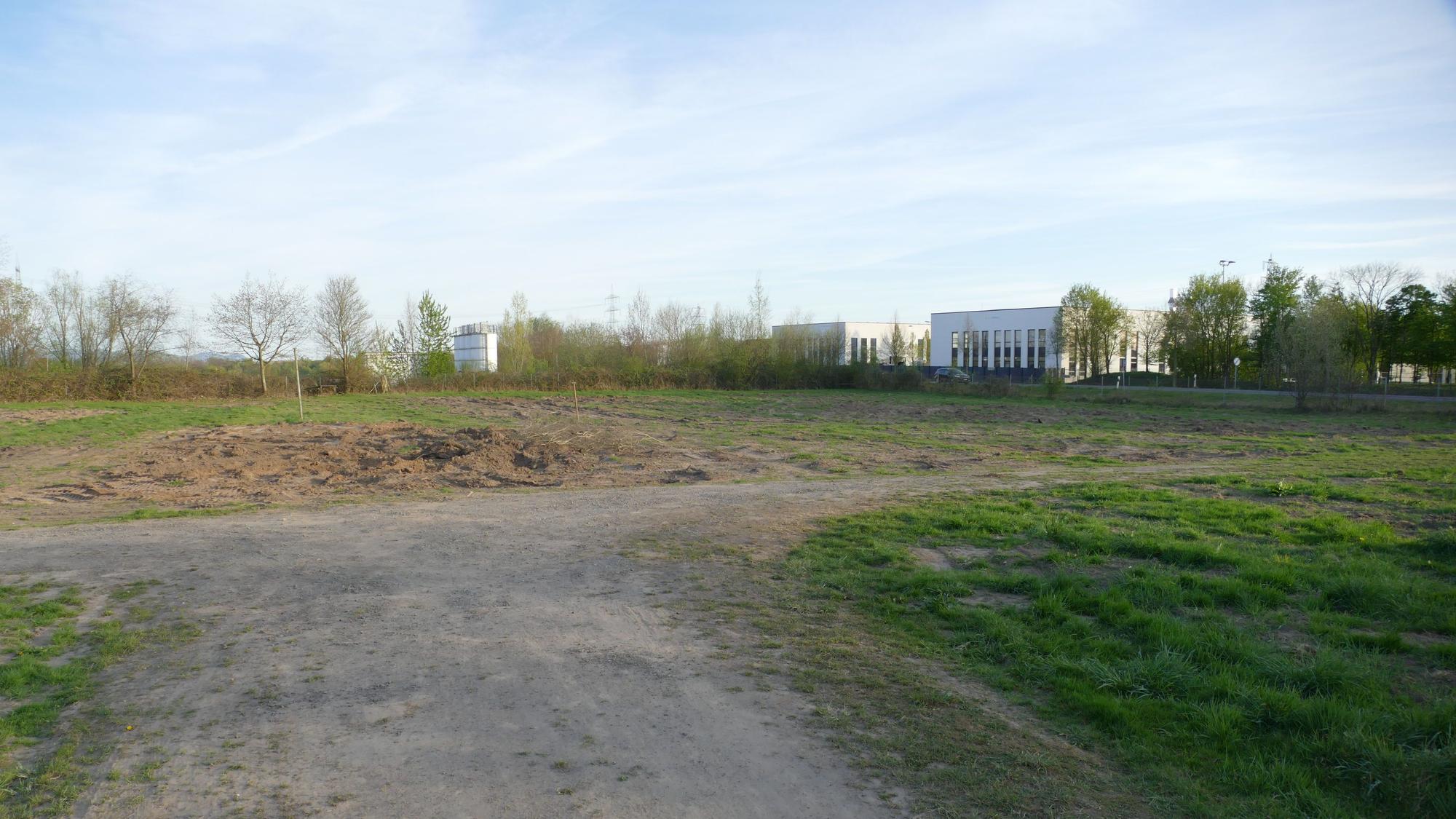 Das Grundstück für den Bau der Niederkasseler ZUE ist bereits seit Monaten freigeräumt. Wann mit dem Bau begonnen und die Einrichtung bezogen werden soll, steht allerdings noch nicht fest.