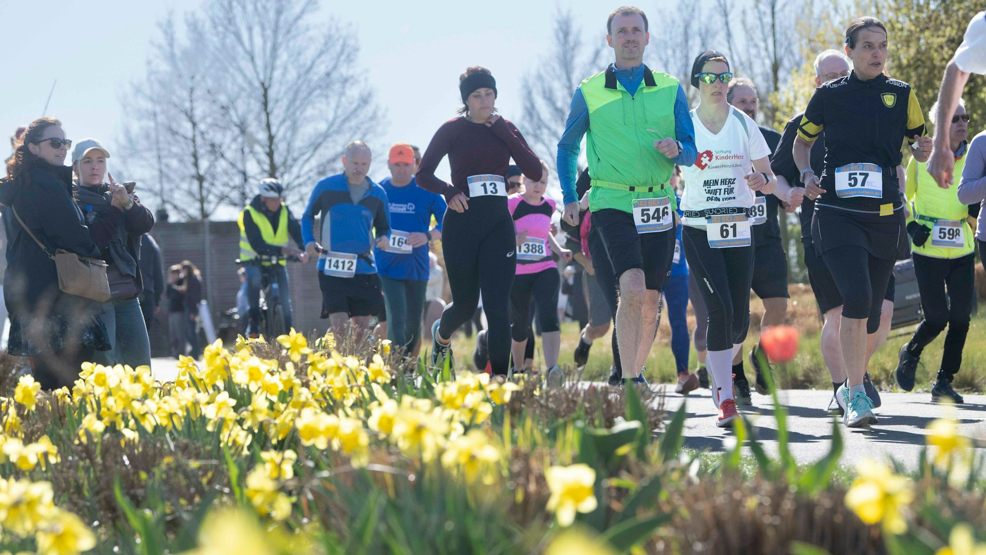 Die Teilnehmer des Chlodwiglaufs haben Zettel mit ihren Startnummern an der Kleidung befestigt. Sie laufen im Seepark Zülpich an blühenden Narzissen vorbei.