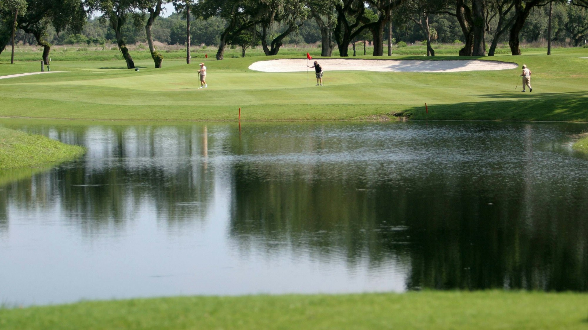 Das Bild zeigt einen Teich am Loch 10 des Silverado Golf and Country Club in Zephyrhills.