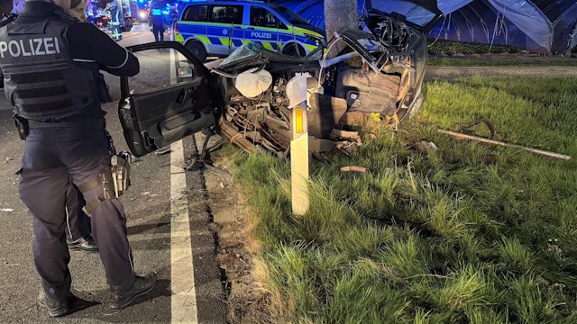 Das Foto zeigt einen verunfallten Pkw an einem Baum.