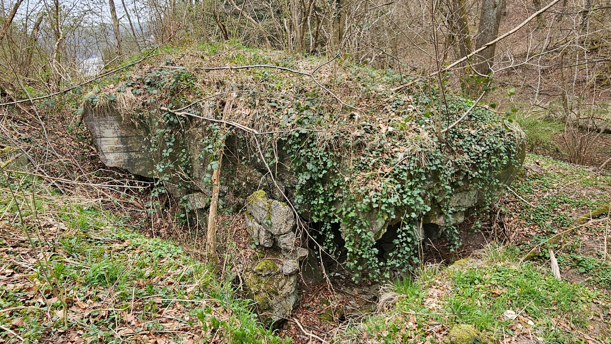 Blick auf die zugewachsene Anlage im Tal.