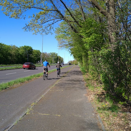 Radfahrer fahren auf einem Radweg. Daneben ist eine zweispurige Autostrecke.