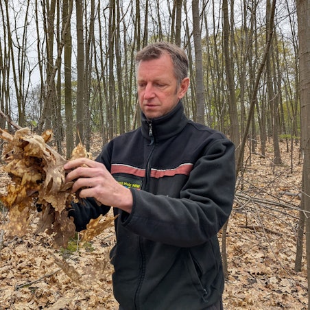 Das Foto zeigt den Förster mit einer Handvoll Laub im Wald am Otto-Maigler-See.
