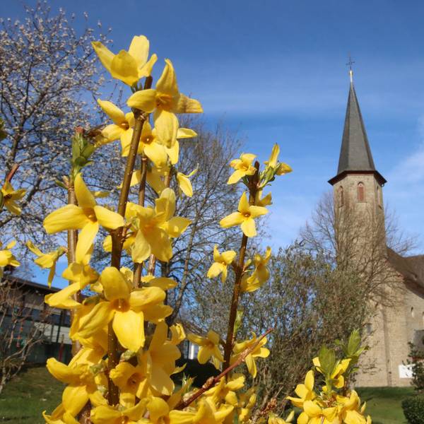 Die katholische Kirche am Prozessionsweg in Denklingen. Davor blühen gelbe Blumen.