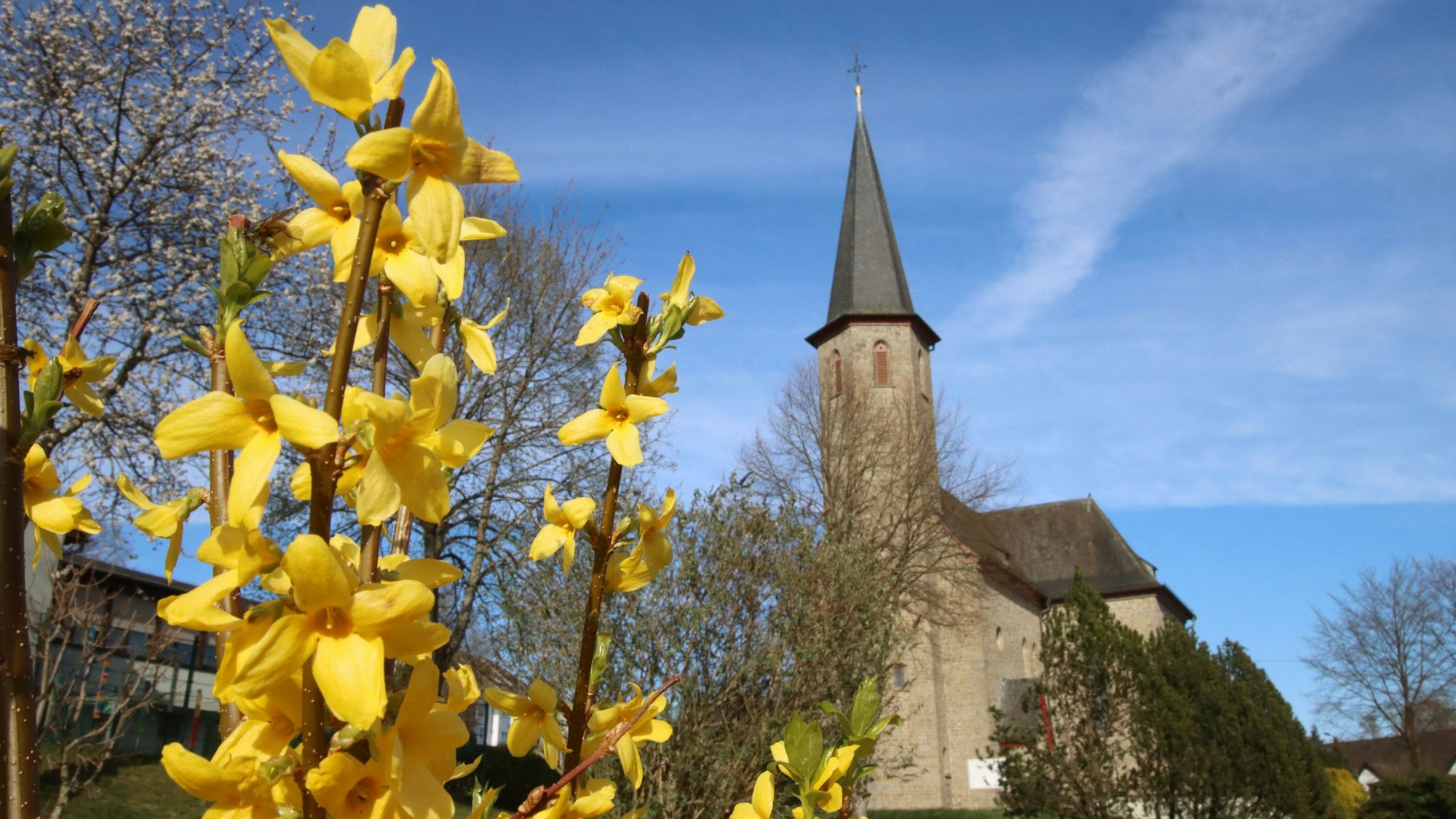 Die katholische Kirche am Prozessionsweg in Denklingen. Davor blühen gelbe Blumen.
