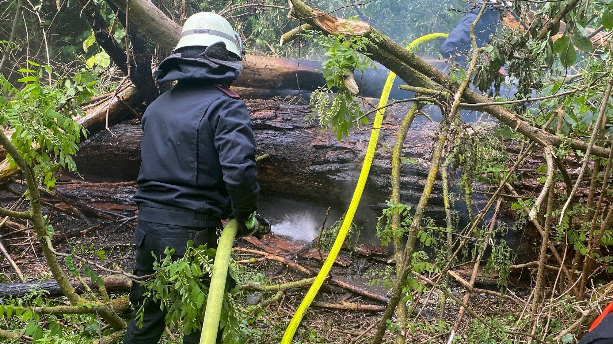 Ein Kerpener Feuerwehrmann löscht einen Waldbrand.