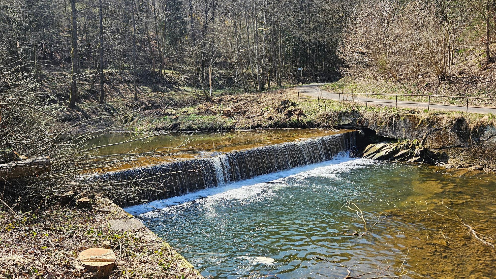 Bei einem Wehr fließt Wasser. Sie ist umgeben von Bäumen.