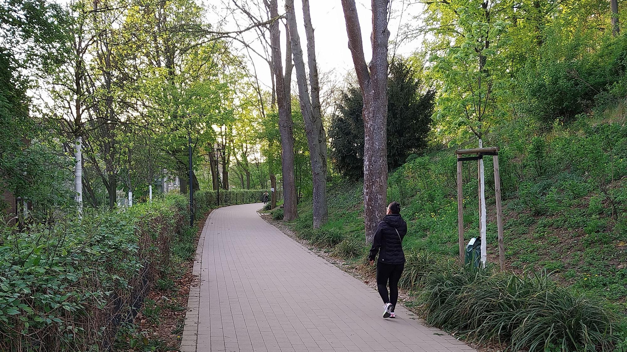 Eine Person läuft über einen asphaltierten Weg am Michaelsberg in Siegburg zwischen Grün und Bäumen.