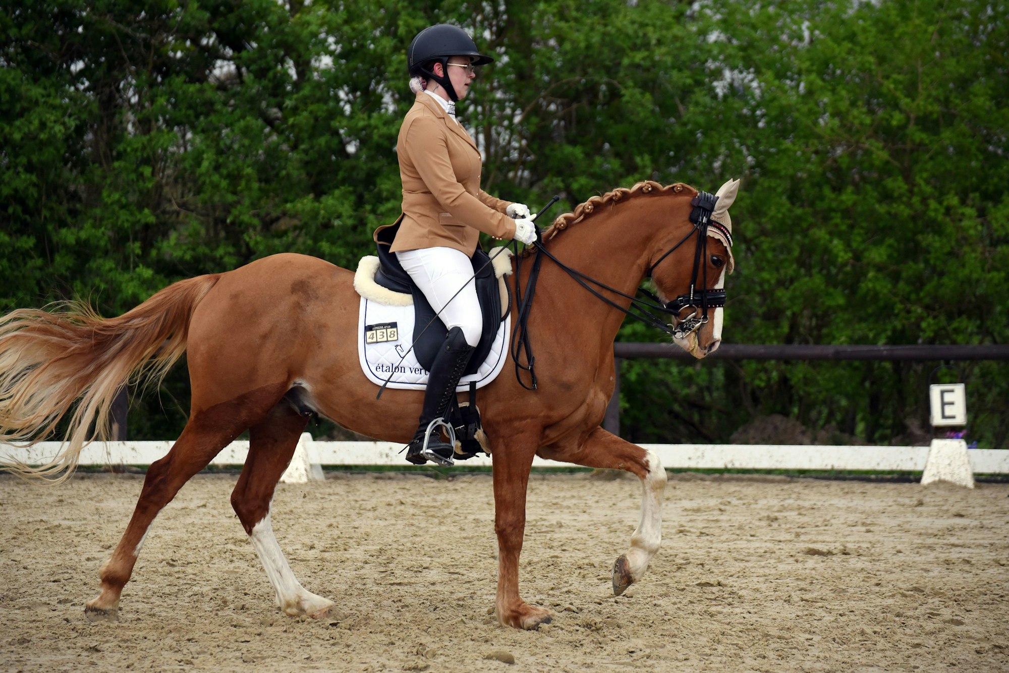 Eine Frau reitet ein Dressurpferd.