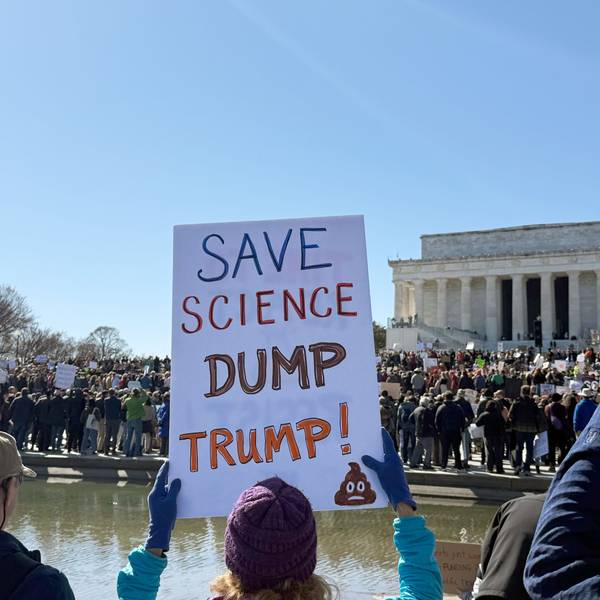 Ein Schild mit der Aufschrift ´Save Science - Dump Trump!» (Rettet die Wissenschaft - Weg mit Trump!) ist bei einer Kundgebung von Wissenschaftlern und Forschern gegen Kürzungen bei den Etats und Stellenstreichungen am Lincoln Memorial zu sehen. (Archivbild)