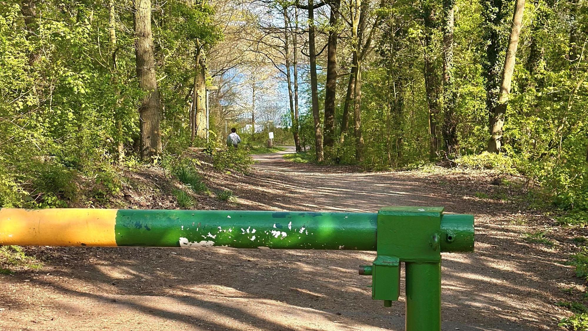 Zu sehen ist eine grün-gelbe Schranke auf einem Waldweg.