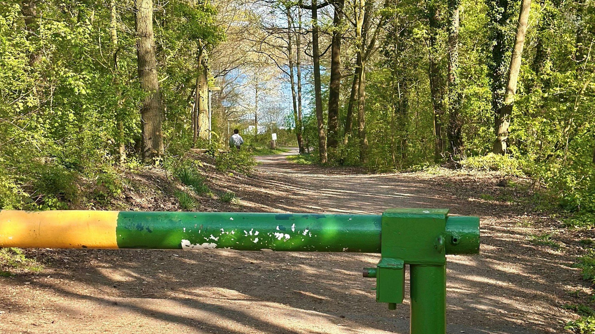 Zu sehen ist eine grün-gelbe Schranke auf einem Waldweg.