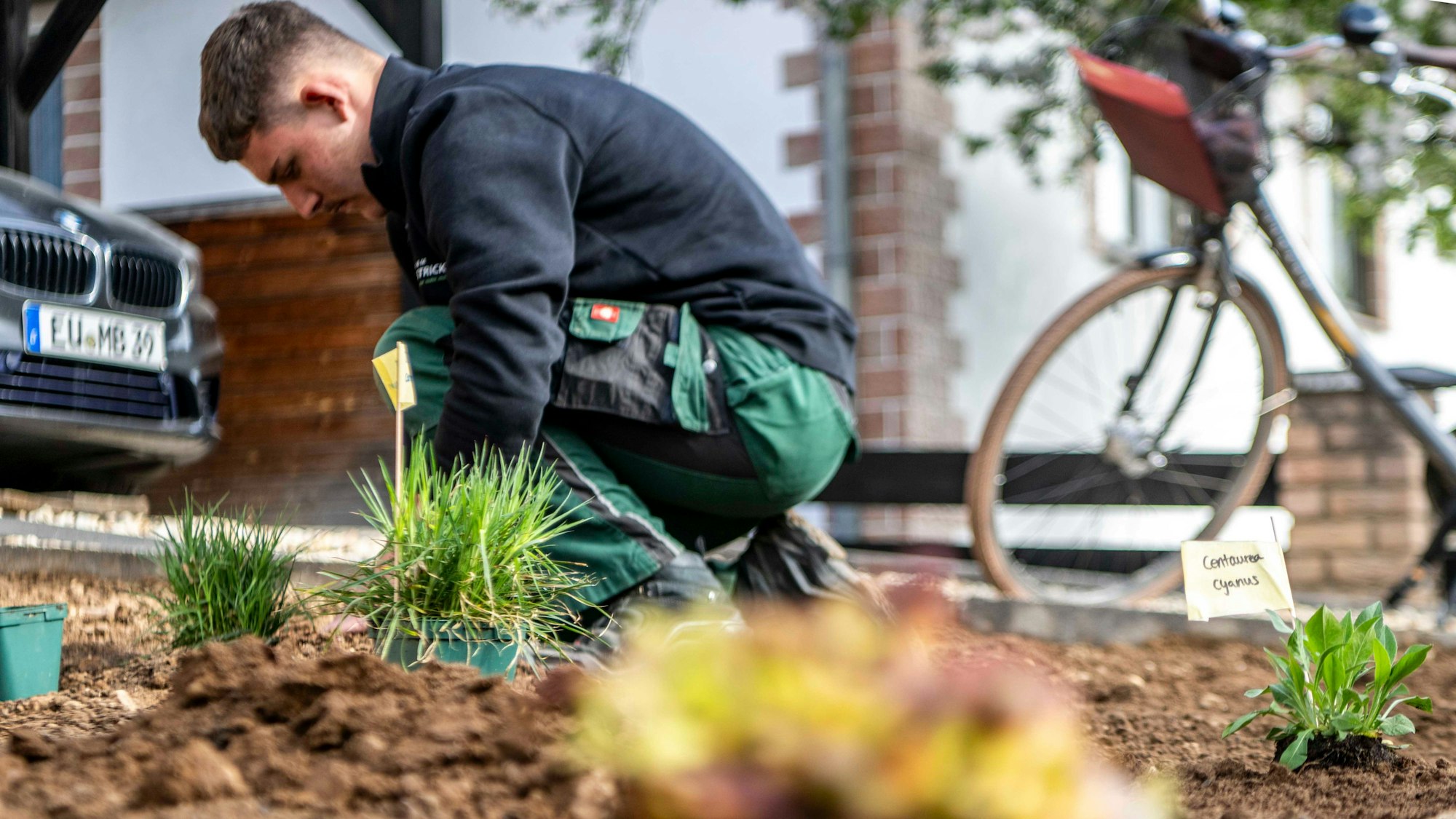 Der Mitarbeiter eines Gärtnereiunternehmens arbeitet in einem Vorgarten an einer Entsiegelung.