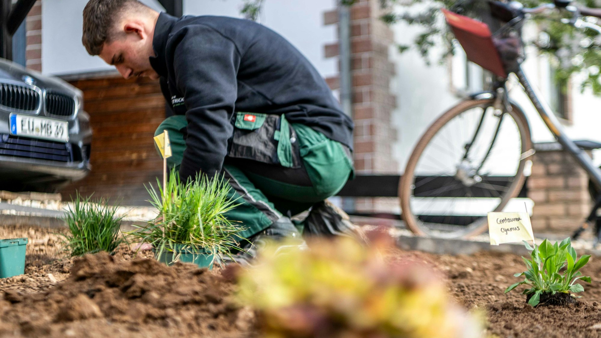Das Bild zeigt einen Landschafts- und Gartenbauer, der Blumen einpflanzt.