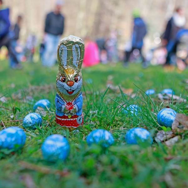 Süssigkeiten zum Osterfest liegen auf einer Wiese im Garten.