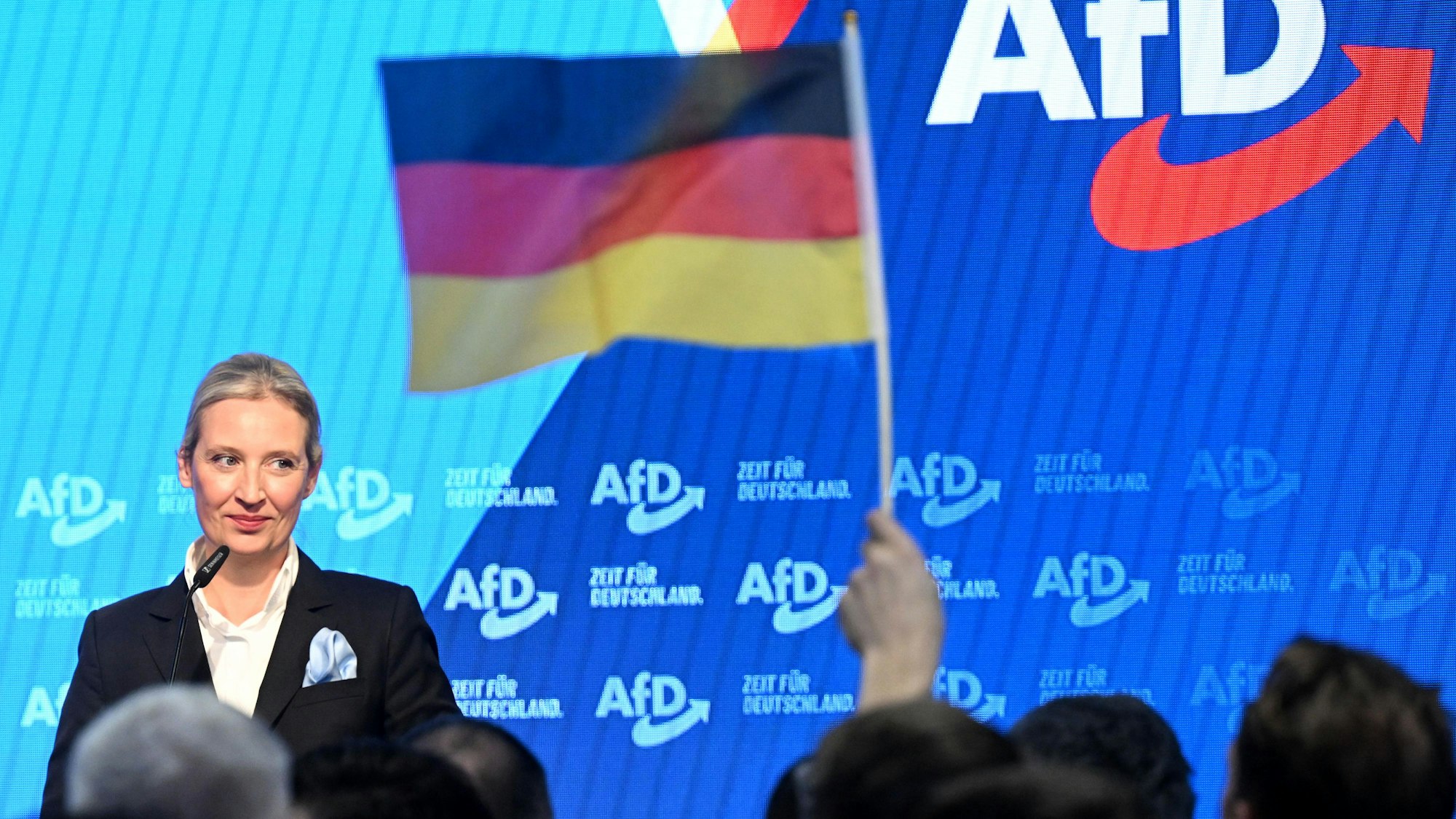 Alice Weidel, Bundesvorsitzende der AfD