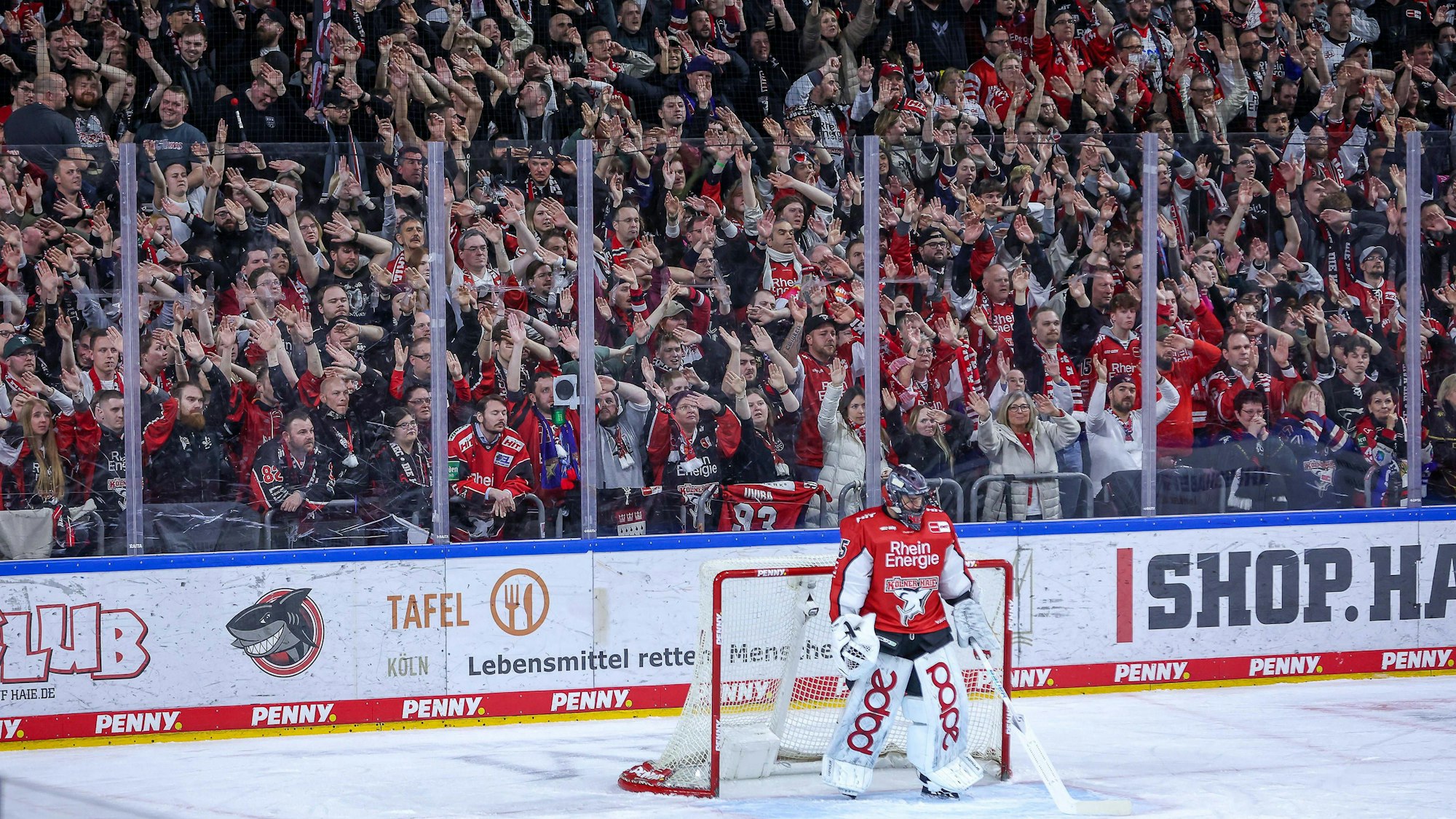 Der Rückhalt hinter dem Rückhalt: Die Haie-Fans und KEC-Torhüter Julius Hudacek.