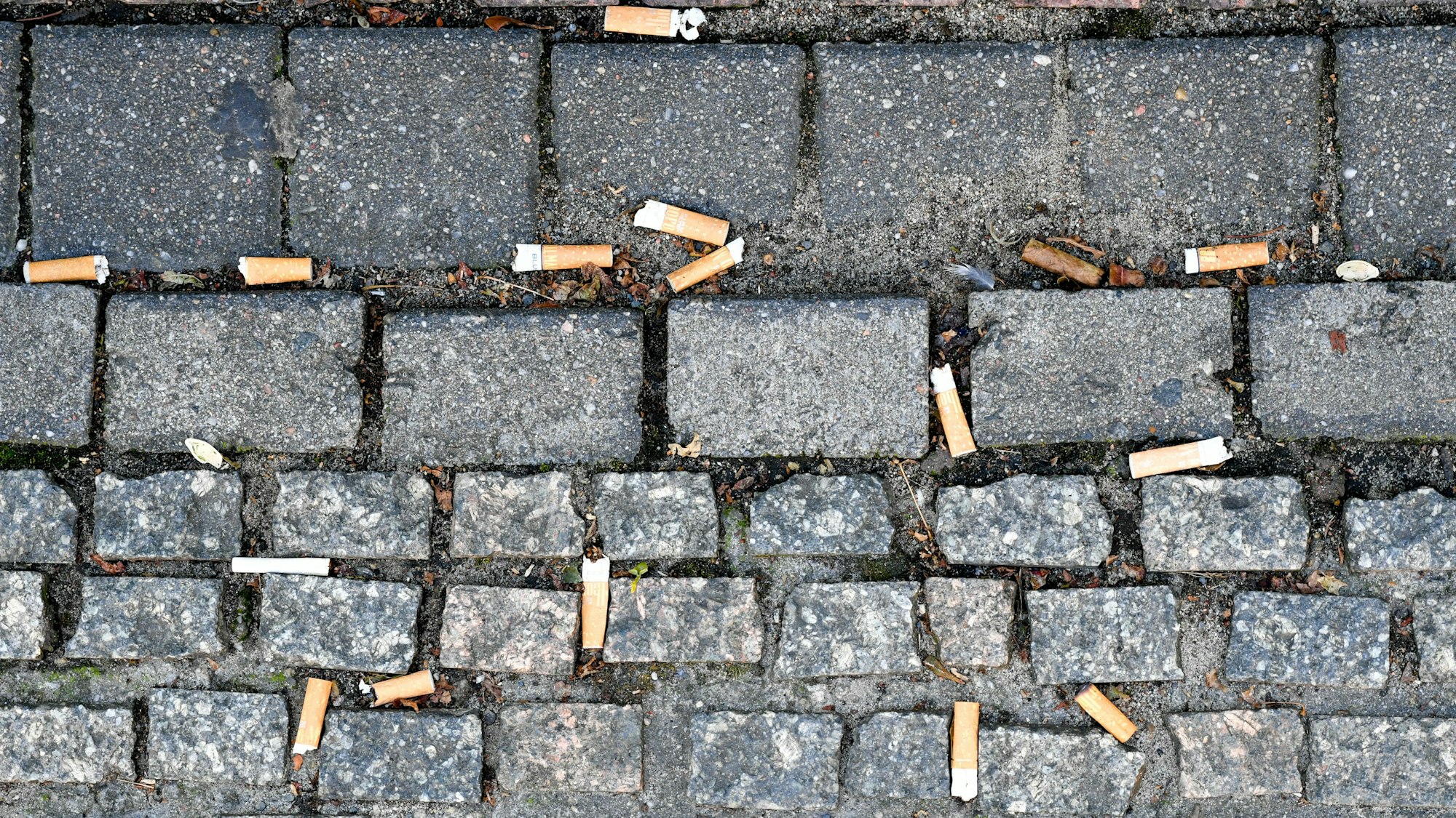 Zahlreiche auf den Boden geworfene Zigarettenstummel liegen auf dem Pflaster des Gendarmenmarktes in Berlin.