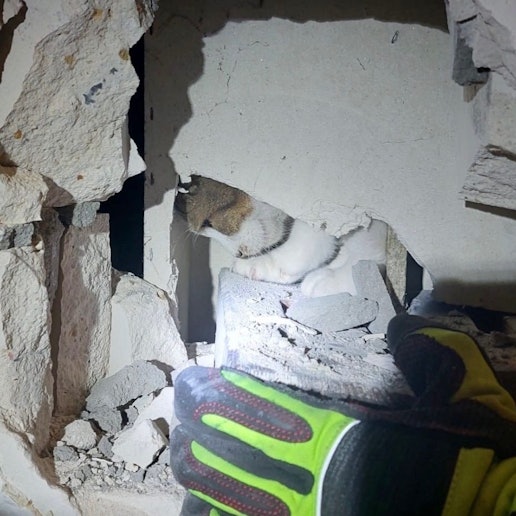 Katze Misha wird am 14.4.2025 in Ratingen aus einem Kaminschacht gerettet.