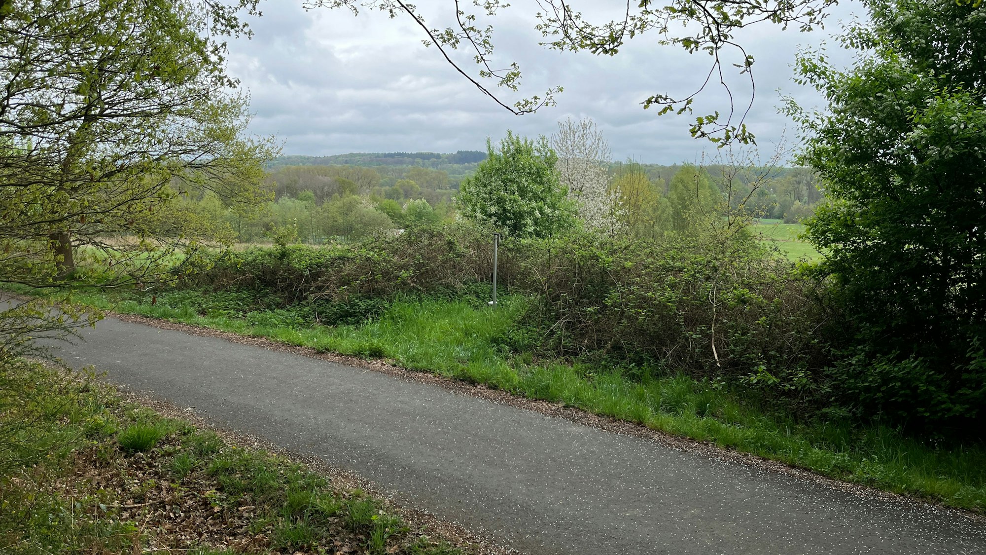 Von Bänken am Wegesrand gibt es schöne Ausblicke ins Pleisbachtal.