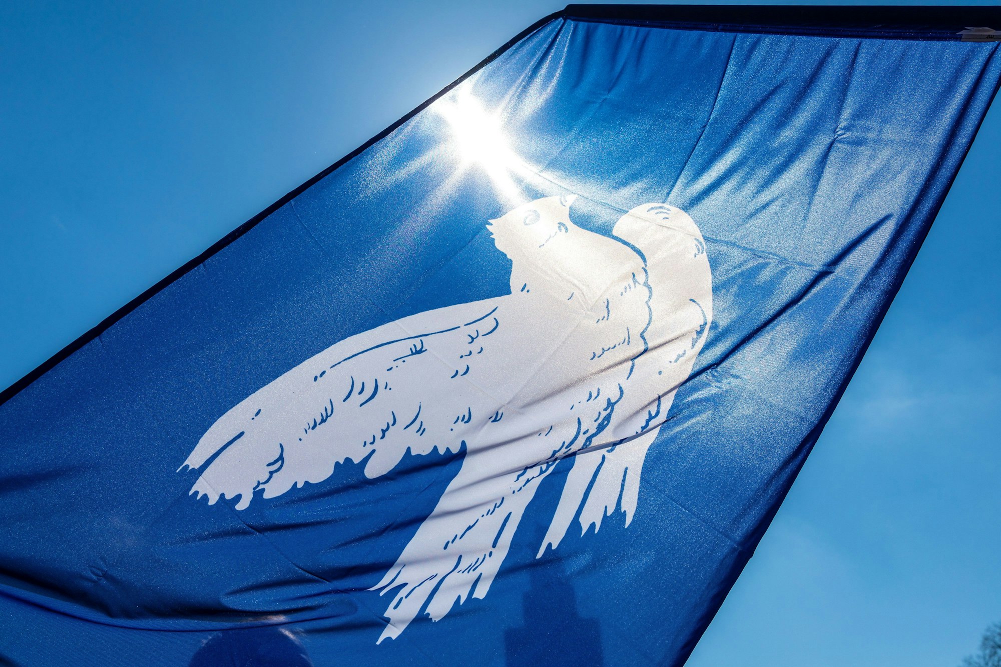 Eine Fahne mit einer Friedenstaube – dem Symbol der Friedensbewegung