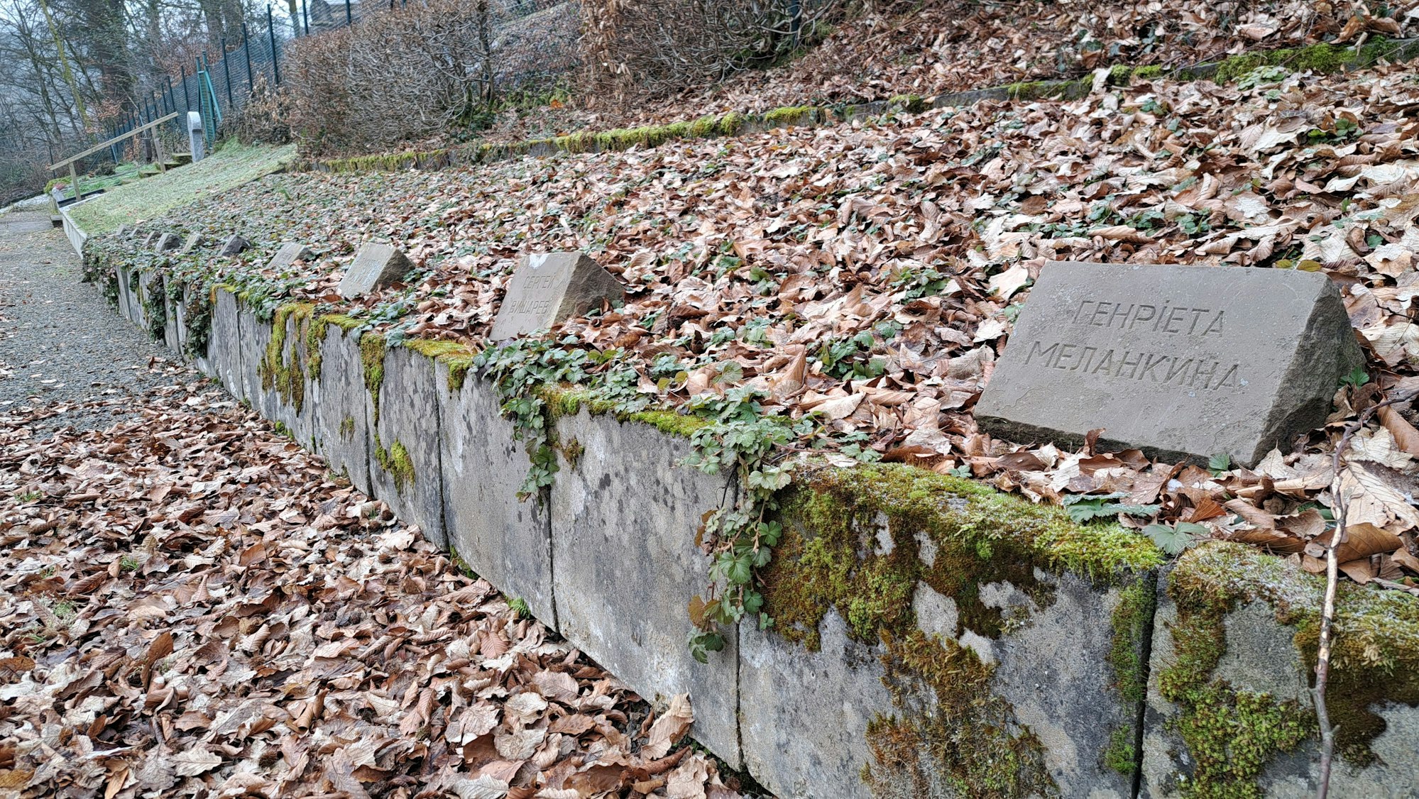 Das Foto zeigt die Gräber von sowjetischen Zwangsarbeitern und Kriegsgefangenen auf dem Friedhof in Gimborn.
