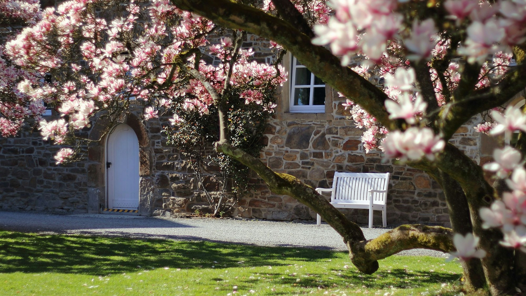 Guten Morgen zusammen, leider hatte ich meine Telefonnummer und Adresse Magnolien blühen auf Schloss Ehreshoven.