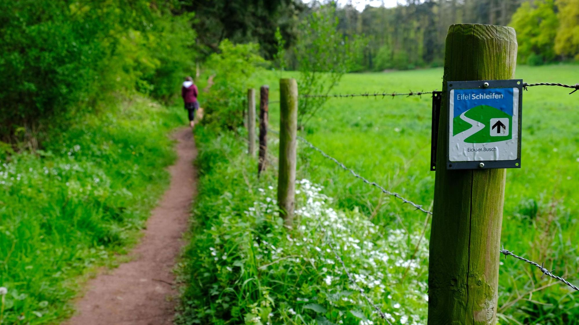 Wanderung auf der Eifel-Schleife Eickser Busch im Mai 2024.