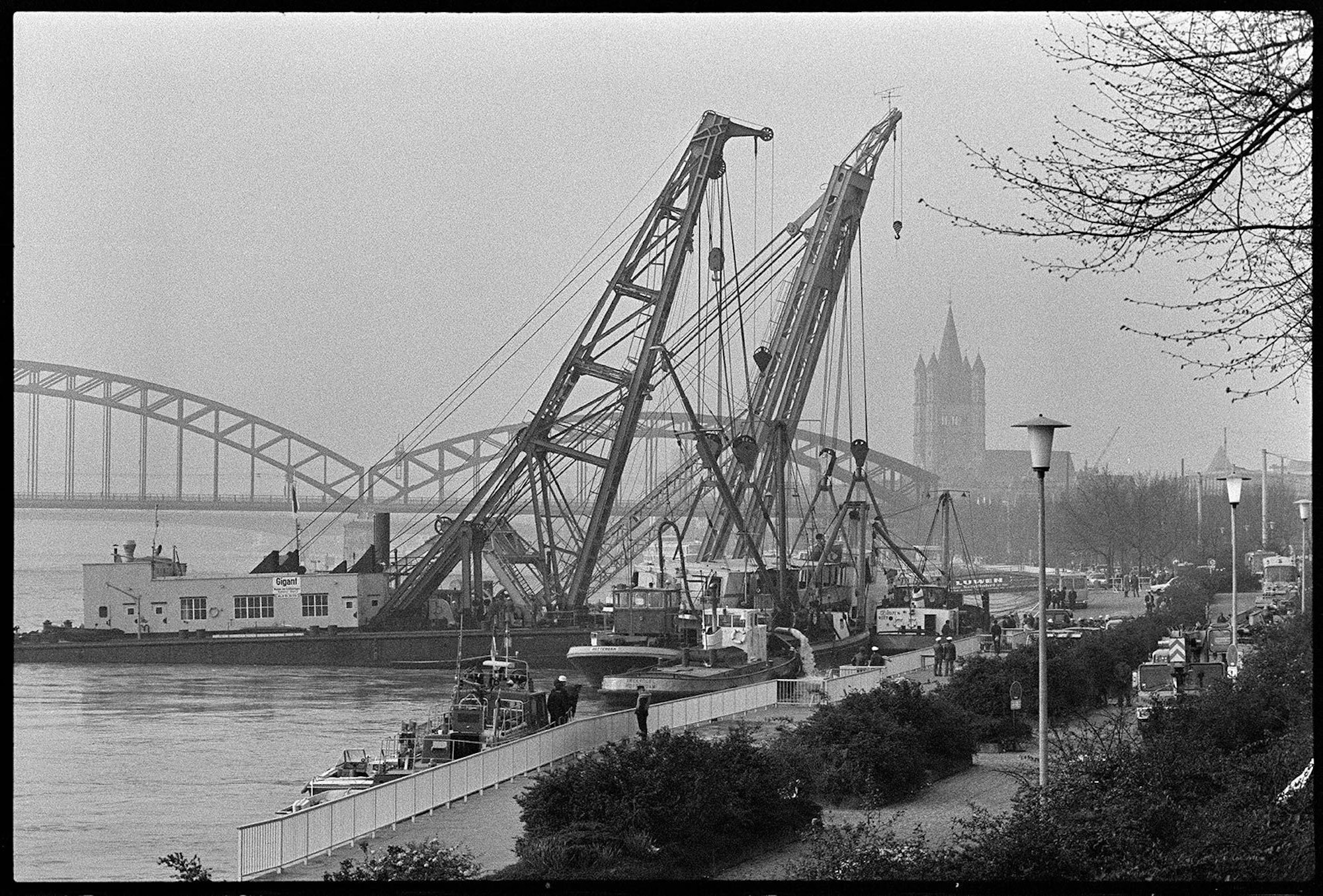 Mithilfe der riesigen Schwimmkräne „Gigant“ und „Hai“ wird die am Kölner Rheinufer gesunkene „Prinses Irene“ geborgen.