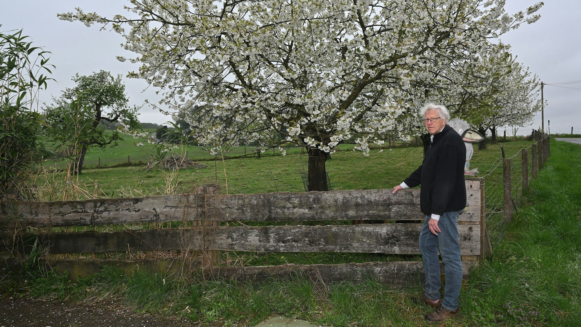 Ein Mann steht vor einer Obstwiese.