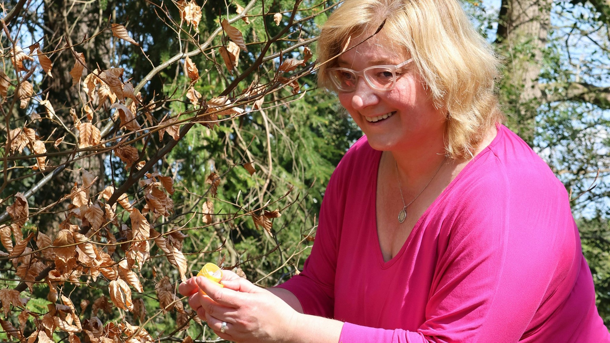 Wer die gelben Kapseln finden will, muss in den Engelskirchener Wäldern genau hinschauen. Denn sie hängen zum Beispiel in den Bäumen.