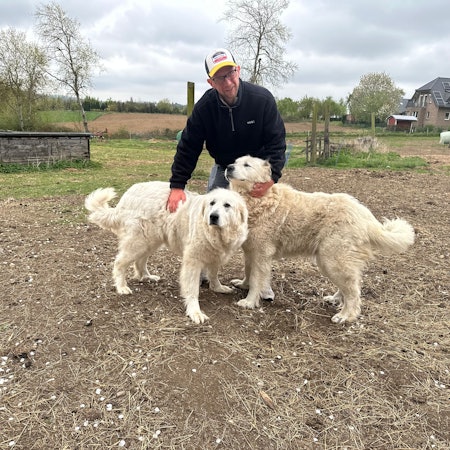 Schäfer Simon Darscheid wird aus Kostengründen keine neuen Herdenschutzhunde mehr kaufen können.
