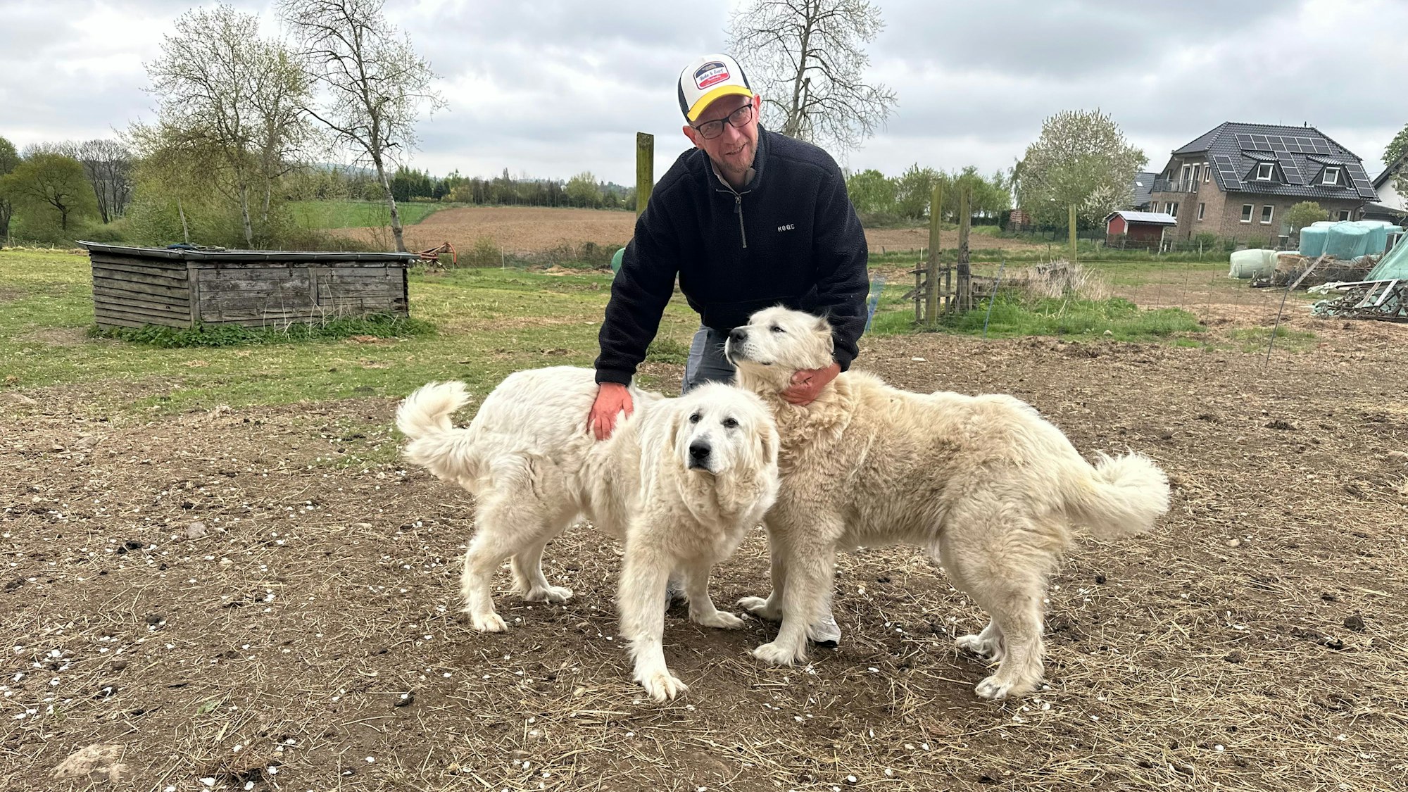 Schäfer Simon Darscheid wird aus Kostengründen keine neuen Herdenschutzhunde mehr kaufen können.