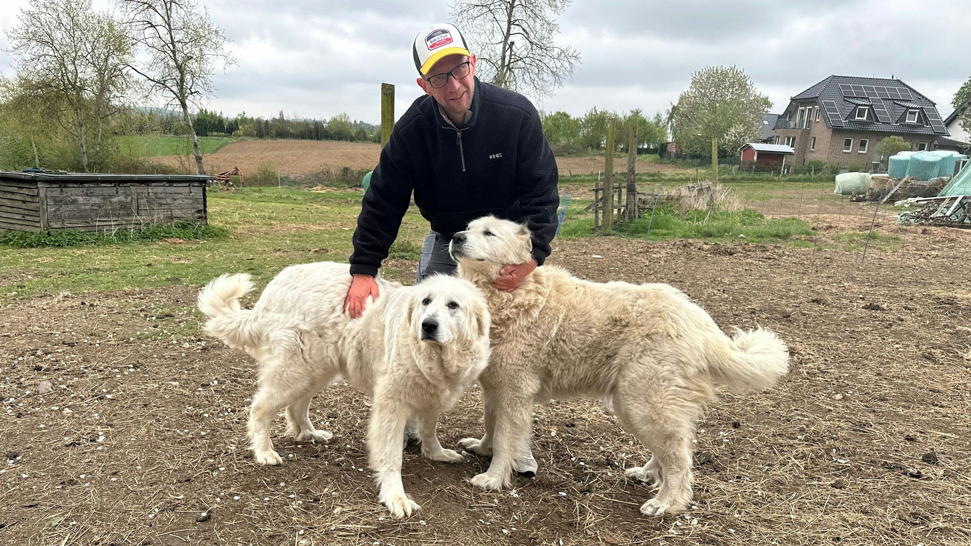 Schäfer Simon Darscheid mit seinen beiden Herdenschutzhunden fordert den Abschuss von Wölfen, die sich auf Nutztiere als Nahrung spezialisiert haben.