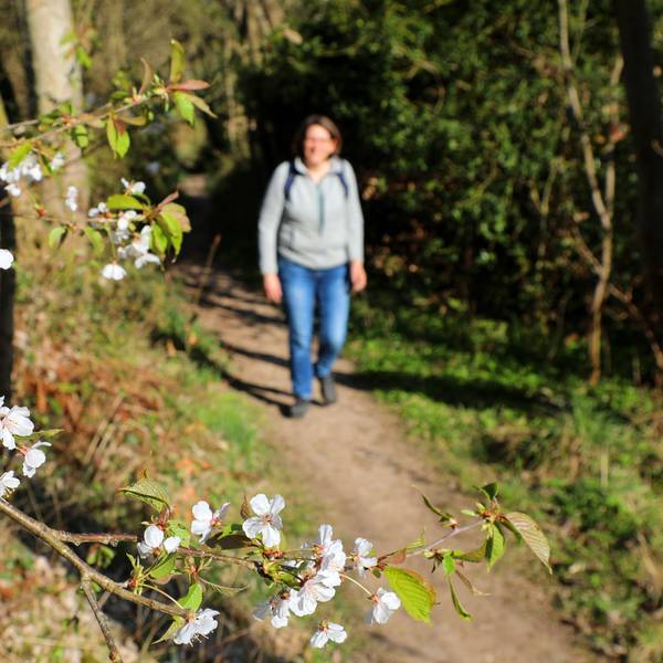 Eine Frau geht auf einem Wanderweg, im Vordergrund sind Blüten an einem Baumzweig zu sehen.