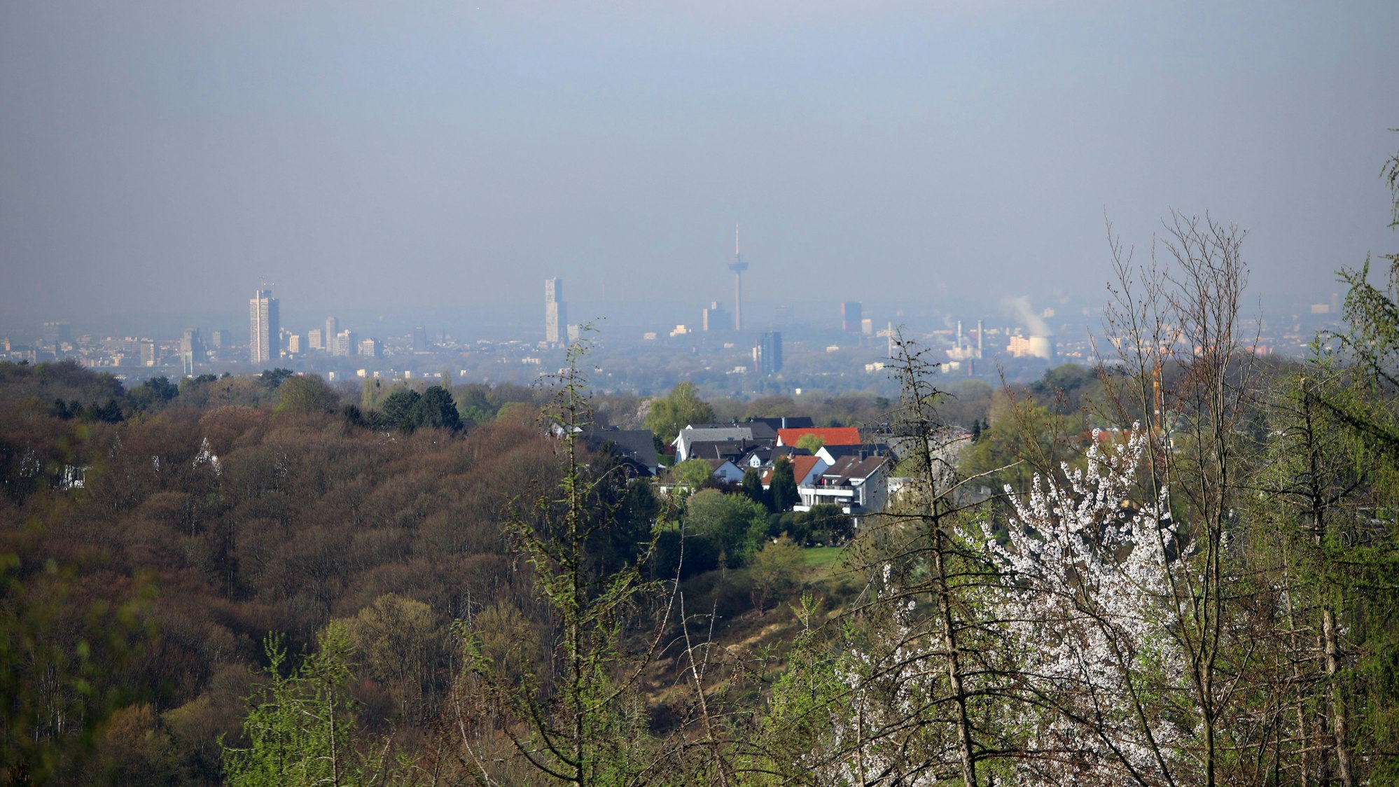 Am Horizont ist die Skyline von Köln zu sehen.