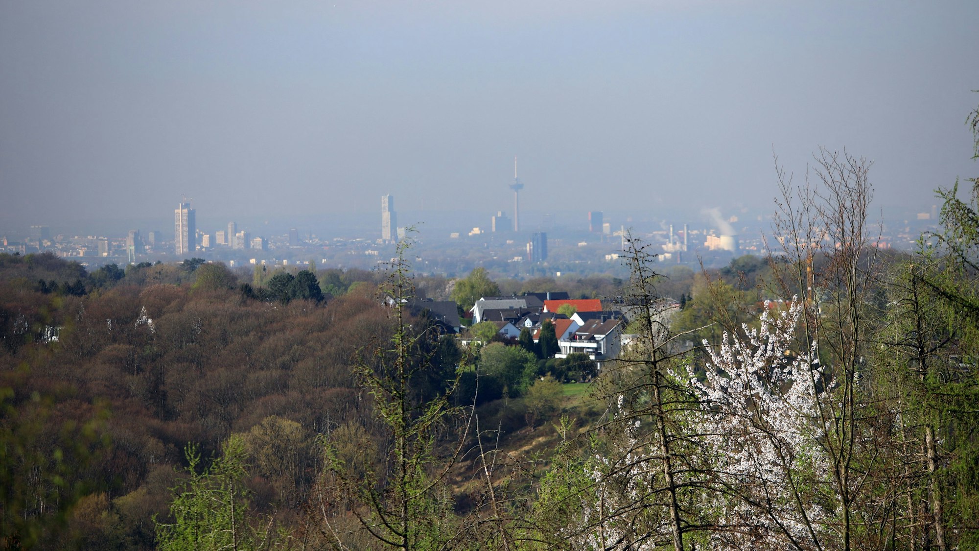 Am Horizont ist die Skyline von Köln zu sehen.