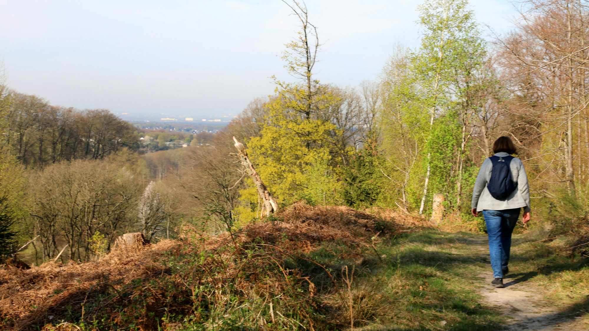 Eine Wanderin geht auf einem Weg, links ist ein Fernblick zu sehen.