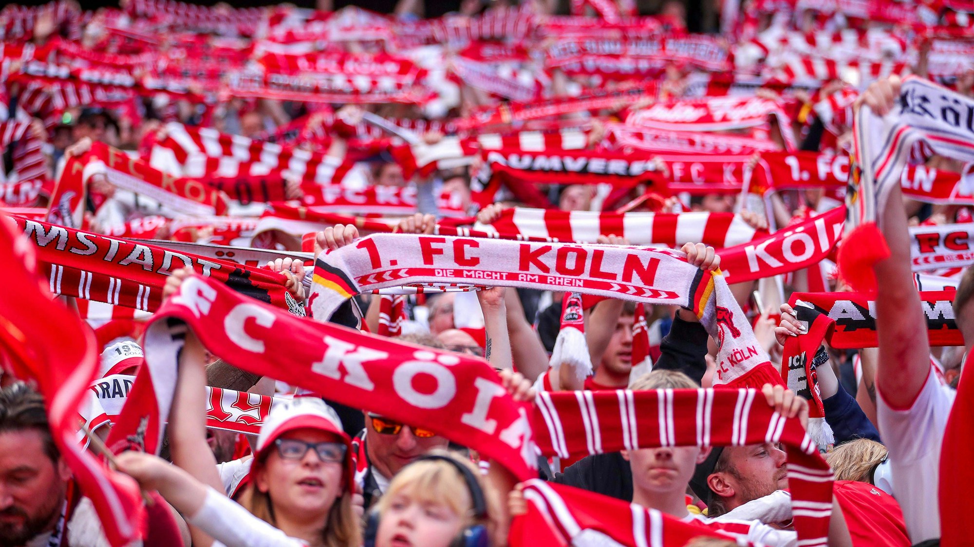 20.04.2025, Fußball, 1. FC Köln - Preußen Münster, 2.. Fußball Bundesliga, 30. Spieltag, RheinEnergie-STADION, Saison 2024 2025: Feature Fans Symbolbild Symbolfoto Südkurve Fanschal Schilder Fahnen Tribüne Fan Kölner DFB regulations prohibit any use of photographs as image sequences and or quasi-video. Nordrhein-Westfalen Deutschland *** 20 04 2025, Football, 1 FC Köln Preußen Münster, 2 Fußball Bundesliga, 30 Spieltag, RheinEnergie STADION, Saison 2024 2025 Feature Fans Symbolbild Symbolfoto Südkurve Fanschal Schilder Fahnen Tribüne Fan Kölner DFB regulations prohibit any use of photographs as image sequences and or quasi video Nordrhein Westfalen Germany